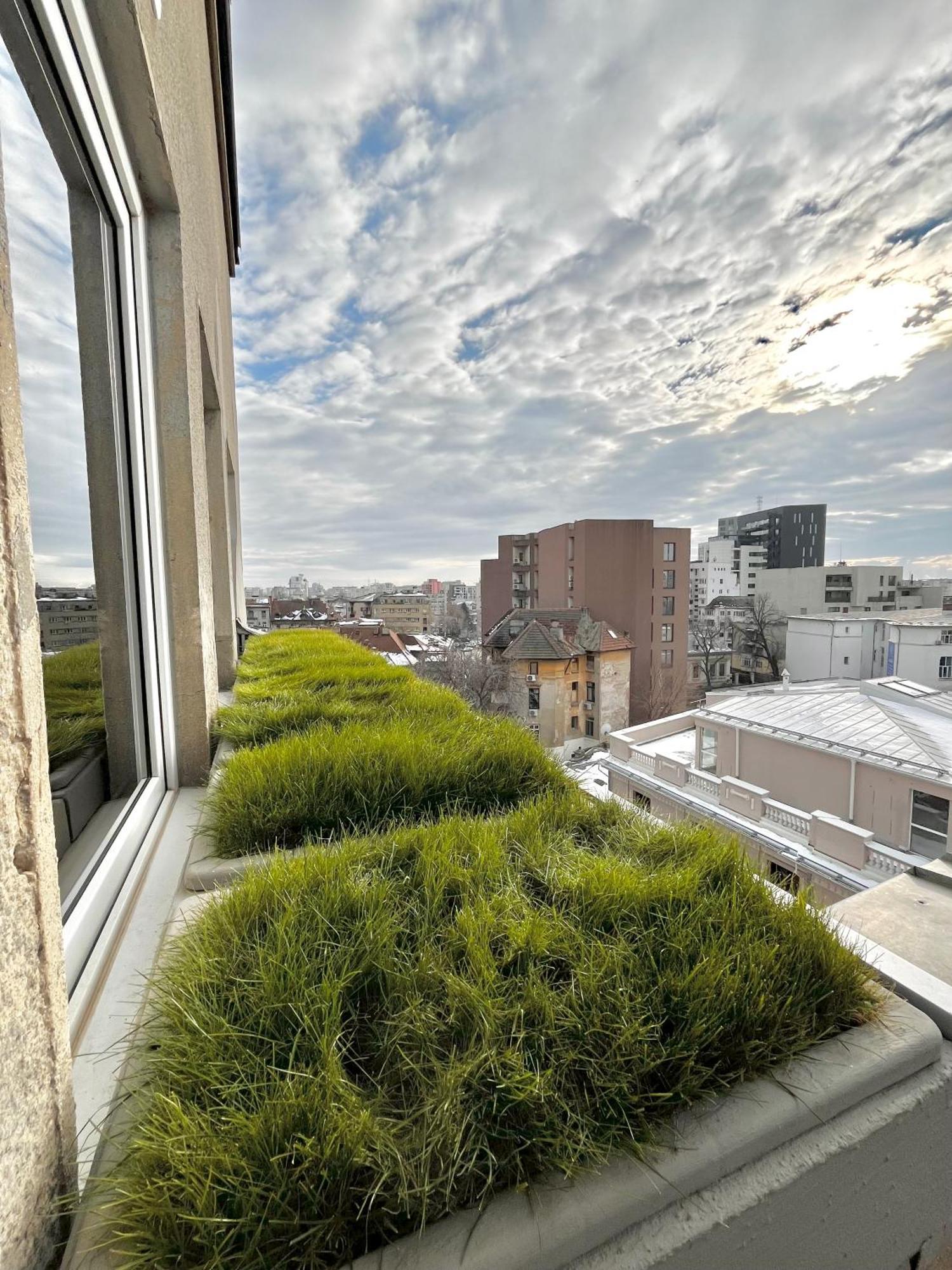 Terrace View Downtown Studio بوخارست المظهر الخارجي الصورة