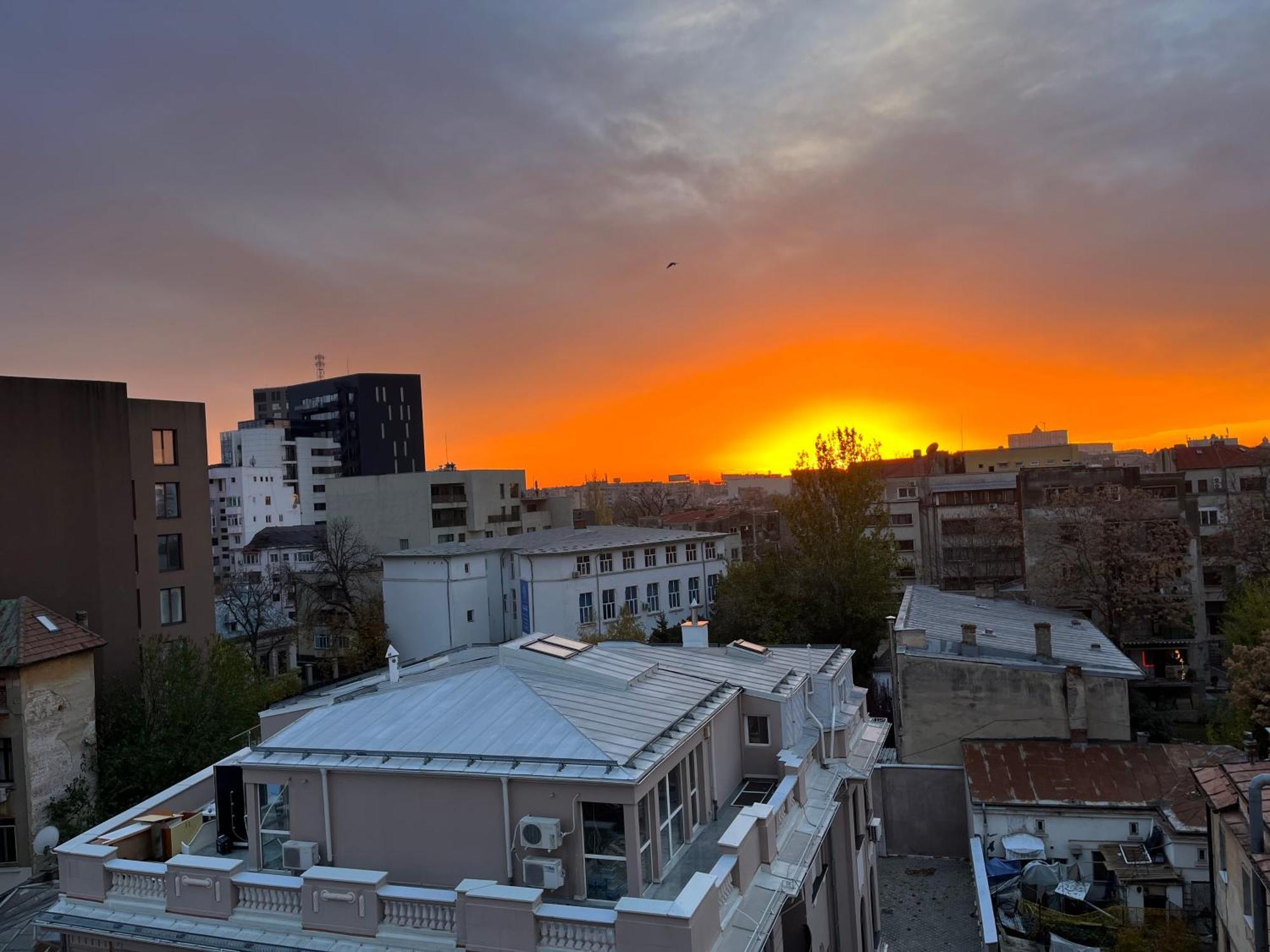 Terrace View Downtown Studio بوخارست المظهر الخارجي الصورة